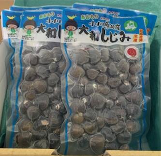 �ڤդ뤵��Ǽ�ǡ۾���л������¤�����(L)���ޥ��åȡ���02408-0127�� ���¤����� ���� ���������ܰ� ������ ����� ��˫�� ����� ����Į �Ŀ��� ���� ����е��ȶ�Ʊ�ȹ�