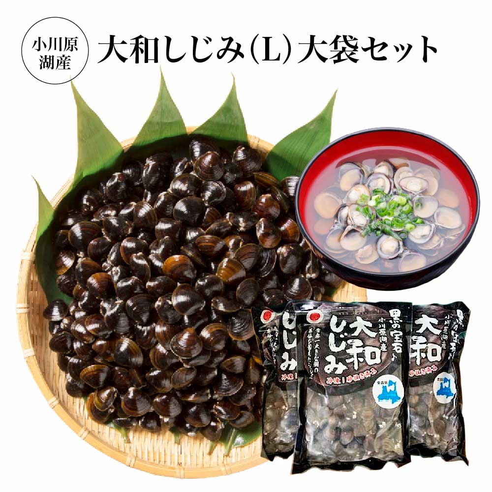 小川原湖産 大和しじみ(L)大袋セット 1kg×3パック/計3kg [02408-0129] 大和しじみ 魚介 お取り寄せ グルメ ご褒美 小川原湖 東北町 青森県 冷凍 小川原湖漁業協同組合