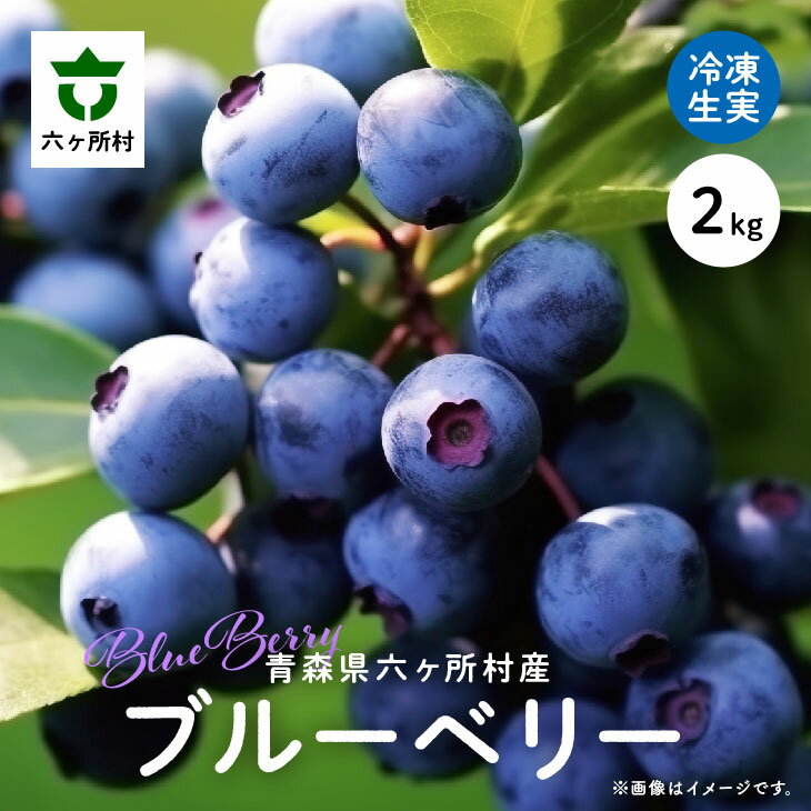 【ふるさと納税】《 先行予約 》 2024年 8月中旬～順次発送 六ヶ所村産 ブルーベリー 冷凍 生実 2kg 果物 国産 フルーツ 果実 ジャム スムージー 旬 新鮮 甘い グルメ お取り寄せ ギフト 訳あり お歳暮 返礼品 六ヶ所村 青森 送料無料 【就労継続支援B型事業所かけはし】