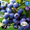 【ふるさと納税】《先行予約 2026年8月中旬~順次出荷》六ヶ所村産 ブルーベリー 冷凍 生実 2kg 果物 国産 フルーツ 果実 ジャム スムージー 旬 新鮮 甘い グルメ お取り寄せ ギフト 訳あり お歳暮 返礼品 六ヶ所村 青森 送料無料 【就労継続支援B型事業所かけはし】