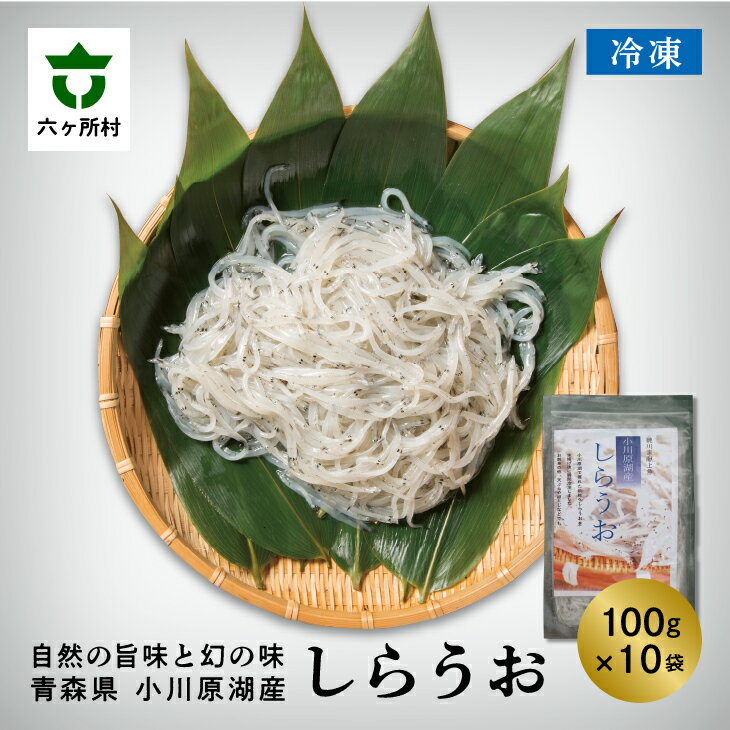 【ふるさと納税】小川原湖産 冷凍 しらうお 1kg シラウオ 白魚 魚介 魚 旬 新鮮 グルメ お取り寄せ ギフト お中元 お歳暮 ふるさと 返礼品 六ヶ所村 ...
