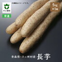 【ふるさと納税】《先行予約》2025年12月中旬〜出荷 青森県六ヶ所村産 長芋 5kg とろろ 長芋 山芋 旬 新鮮 グルメ お取り寄せ ギフト お中元 お歳暮...