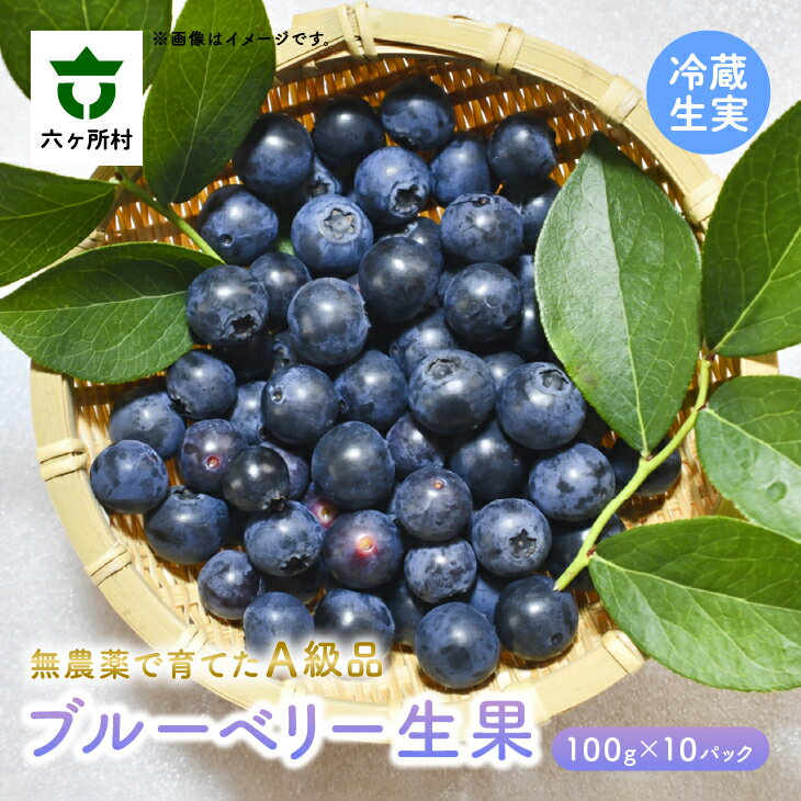 【ふるさと納税】《先行予約 2025年7月~順次出荷》生果 A級品 ブルーベリー 100g 10パックセット 果物 フルーツ 果実 ジャム スムージー 旬 新鮮 グルメ お取り寄せ ギフト お中元 お歳暮 ふるさと 返礼品 六ヶ所村 青森 送料無料 【福岡商店】