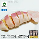 【ふるさと納税】泊産 イカ詰寿司 6本 イカ寿司 野菜寿司 旬 新鮮 グルメ お取り寄せ ギフト お中元 お歳暮 ふるさと 返礼品 六ヶ所村 青森 送料無料 【...