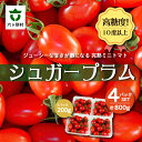 【ふるさと納税】青森県六ヶ所村産トマト シュガープラム 800g(200g×4P) 野菜 国産 ミニトマト サラダ パスタ 旬 新鮮 甘い グルメ お取り寄せ ギフト 訳あり お歳暮 返礼品 六ヶ所村 青森 送料無料 【あおもり花工房】