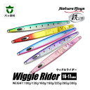 【ふるさと納税】鉄ジグ WR(WiggleRider/ウィグルライダー) 100g ~ 300g 16色 ルアー 釣具 釣り具 フィッシング 鉄製 魚 釣れる 人気 おすすめ ギフト お中元 お歳暮 ふるさと 返礼品 六ヶ所村 青森 送料無料 【青森宝栄工業】
