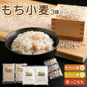 【ふるさと納税】もち小麦 詰め合わせ セット もち姫(粒) 300g 2袋 もち姫(粉) 500g 2袋 姫っこもち 200g 3袋 [アグリの里おいらせ 青森...
