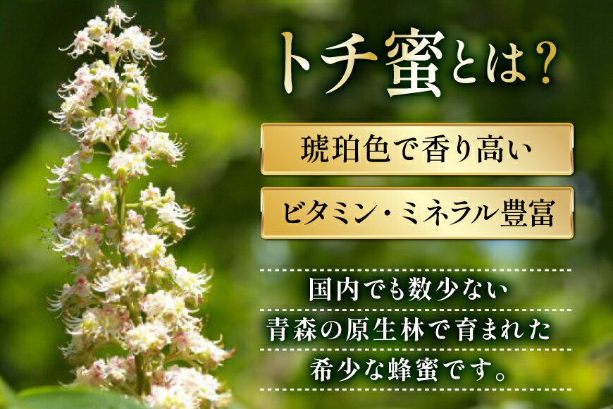 環境栽培 ドレッシングセット ASNC6176619|食品 食品