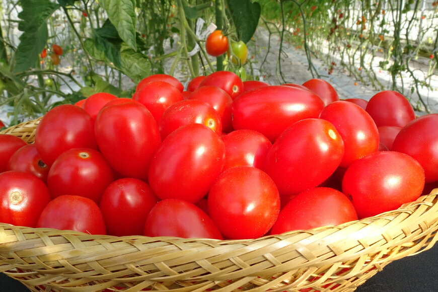 青森県おいらせ町の画像3