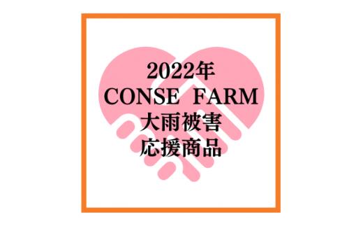 【ふるさと納税】CONSE 大雨被害応援セットC