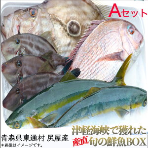【ふるさと納税】尻屋産 旬の鮮魚BOX（A）