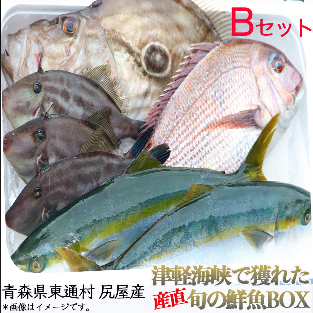 【ふるさと納税】尻屋産旬の鮮魚BOX(B)