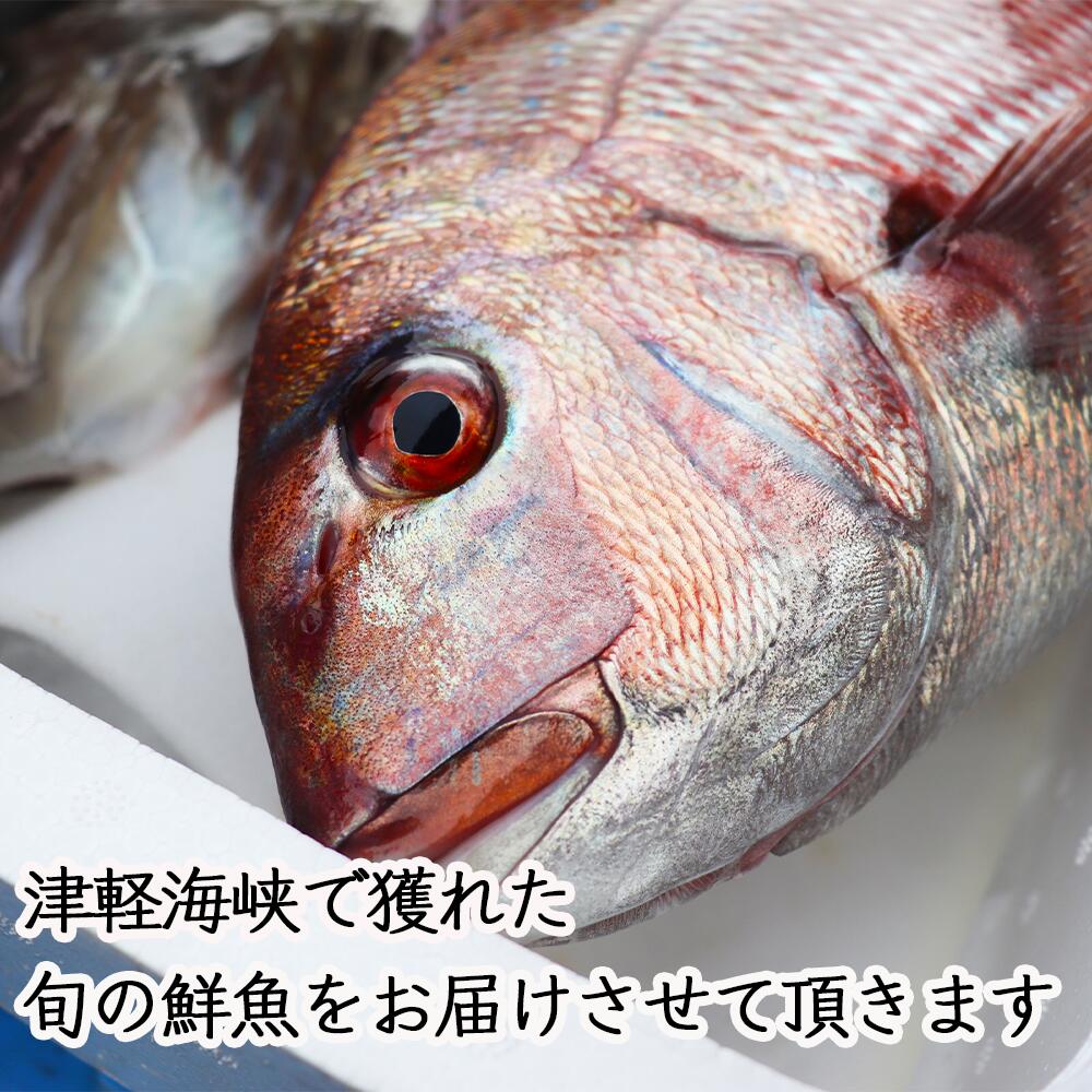 楽天市場 ふるさと納税 尻屋産 旬の鮮魚box A 最適な材料 Www Gestalt Cl 楽天市場 ふるさと納税 尻屋産 旬の鮮魚box A 最適な材料 Www Gestalt Cl