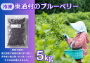 【ふるさと納税】冷凍ブルーベリー（5kg）