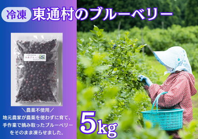 楽天ふるさと納税　【ふるさと納税】冷凍ブルーベリー（5kg）