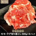  国産 豚肉 切り落とし 500g×6パック 計3kg | 豚 ポーク 肉 モモ ウデ 細切れ 冷凍 小分け パック 送料無料 ふるさと納税 ふるさと スターゼン