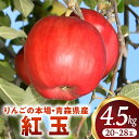 【ふるさと納税】青森りんご【紅玉】約4.5kg(20〜28玉)【2025年産・先行予約】★2025年10月中旬〜11月上旬頃まで発送予定★こうぎょく りんご 林...