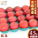 【ふるさと納税】青森りんご【紅玉】約4.5kg(20~28玉)【2025年産・先行予約】★2025年10月中旬~11月上旬頃まで発送予定★りんご 林檎 リンゴ 国産 紅玉 フルーツ 果物 贈答 土産 青森県 三戸町 R0214