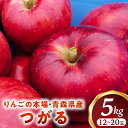 【ふるさと納税】りんご【つがる】約5kg(12〜20玉)【2025年産・先行予約】★2025年9月上旬〜9月下旬頃まで発送予定★りんご 林檎 フルーツ 果物 果...