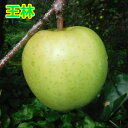 青森県三戸町の画像3