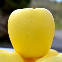 【ふるさと納税】 高級りんご はるか 約3kg 8〜12玉【2025年産・先行予約 | 12月上旬〜2026年1月上旬頃まで発送予定】りんご 林檎 フルーツ 果...