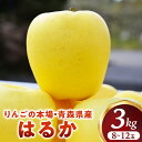 【ふるさと納税】 高級りんご はるか 約3kg 8〜12玉【2025年産・先行予約 | 12月上旬〜2026年1月上旬頃まで発送予定】りんご 林檎 フルーツ 果...