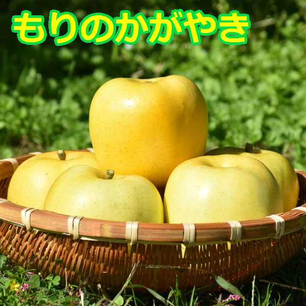 【ふるさと納税】青森りんご 希少 もりのかがやき 10～18玉 約5kg【2024年産 先行予約 | 10月上旬～10月下旬頃に順次発送予定】りんご 林檎 フルーツ 果物 果実 青森 青森県 青森県産 三戸 三戸町 高級 贈答 ギフト プレゼント 産地直送 農家直送 送料無料