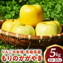 【ふるさと納税】希少!青森りんご【もりのかがやき】約5kg(10〜20玉)【2025年産・先行予約】★2025年10月上旬〜10月下旬頃まで発送予定★りんご 林...