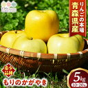 【ふるさと納税】希少!青森りんご【もりのかがやき】約5kg(10~20玉)【2025年産・先行予約】★2025年10月上旬~10月下旬頃まで発送予定★りんご 林檎 リンゴ 国産 もりのかがやき 希少 フルーツ 果物 贈答 土産 青森県 三戸町 R0101