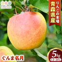 【ふるさと納税】 青森りんご【ぐんま名月】約5kg(12〜20玉)【2025年産・先行予約】★2025年11月上旬〜12月下旬頃まで発送予定★りんご 林檎 リン...