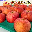【ふるさと納税】【訳あり】青森 りんご「 サンふじ」【2025年産・先行予約】★2025年12月〜2026年1月末頃まで発送予定★容量を選べる! 約5kg(12...