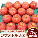 【ふるさと納税】青森りんご【シナノドルチェ】約5kg(12〜20玉)【2025年産・先行予約】★2025年10月上旬〜10月下旬頃まで発送予定★りんご 林檎 フ...