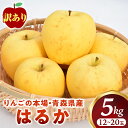 【ふるさと納税】高級りんご 訳あり はるか 約5kg 12〜20玉【2025年産・先行予約 | 2025年12月上旬〜2026年1月上旬頃まで発送予定】りんご ...
