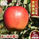 【ふるさと納税】青森りんご【あいかの香り】約5kg(12〜20玉)【2025年産・先行予約】★2025年11月上旬〜12月下旬頃まで発送予定★りんご 林檎 リン...