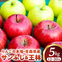 【ふるさと納税】青森りんご【サンふじ&王林】セット 約5kg(計12〜20玉)【2025年産・先行予約】★2025年12月上旬〜12月下旬頃まで発送予定★りんご...