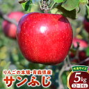 【ふるさと納税】人気No.1 青森りんご【サンふじ】約5kg(12〜14玉・大玉サイズ)【2025年産・先行予約】★2025年12月上旬〜12月下旬頃発送予定★...