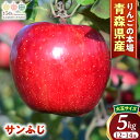 【ふるさと納税】人気No.1 青森りんご【サンふじ】約5kg(12〜14玉・大玉サイズ)【2025年産・先行予約】★2025年12月上旬〜12月下旬頃発送予定★...