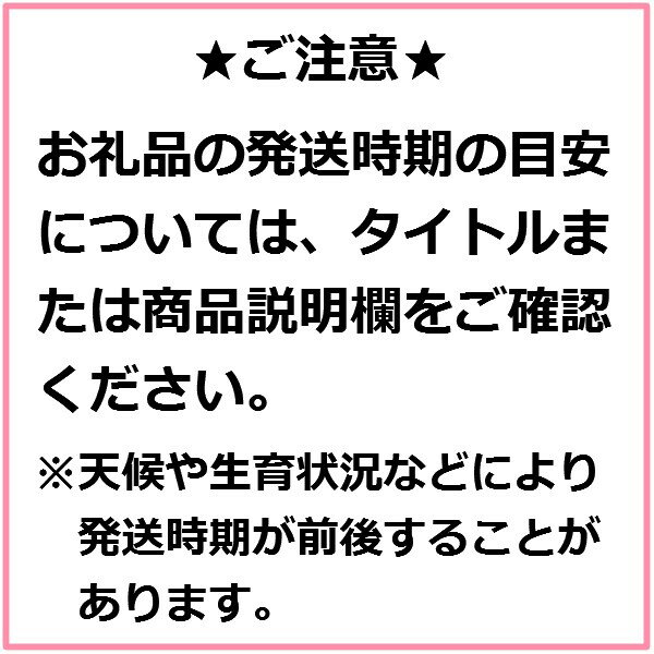 【ふるさと納税】青森りんご訳あり「サンふじ」32～44玉約10kg 先行受付分【2023年1月上旬から発送開始】青森県産 リンゴ 三戸町 林檎 フルーツ 果物 農家直送 産地直送 わけあり 家庭用 不揃い