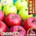 【ふるさと納税】青森りんご【サンふじ&王林】セット 約5kg(計12〜20玉)【2025年産・先行予約】★2025年12月上旬〜12月下旬頃まで発送予定★りんご...