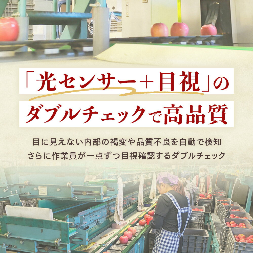 【ふるさと納税】青森県産りんご 光センサー選別サンふじ 秀A品 選べる大きさ！　りんご 国産 フルーツ 果物 林檎 リンゴ サンふじ 大玉 中玉 小玉 新鮮 青森県 三戸町