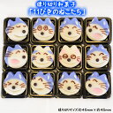 【ふるさと納税】かわいい!和菓子「11ぴきのねこたち」12個入り【数量限定】