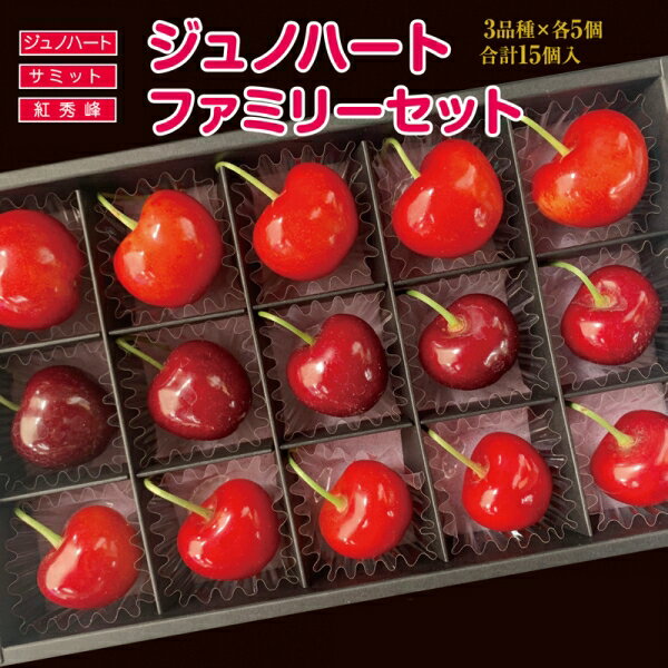 【ふるさと納税】さくらんぼ【ジュノハート・ファミリーセット】【2024年産・先行予約・数量限定｜2024年6月末頃〜7月上旬発送予定】青森県 三戸町 高級 サクランボ 食べ比べ 大粒 贈答 ご褒美 果物 フルーツ 産地直送 送料無料のサムネイル
