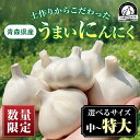 【ふるさと納税】【先行予約 2025年産】にんにくのよしだ家 青森県産にんにく 中/大/特大 サイズを選べる 福地ホワイト種 高品質 大蒜 ニンニク ガーリック 国産 薬味 スタミナ 野菜 おすすめ 送料無料 野菜 健康食品 免疫力向上 滋養強壮 にんにく 青森県 三戸町 R0407
