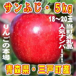 【ふるさと納税】りんご「サンふじ」18〜20玉　約5kg【12月初旬頃発送開始】★★三戸町返礼品・人気ナンバー1★★