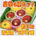 【ふるさと納税】豪華!【りんご4種・8玉】食べくらべセットサ...