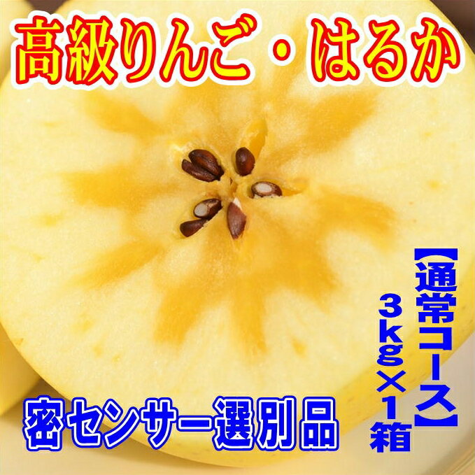 記事番号:20/アイテムID:347294の画像