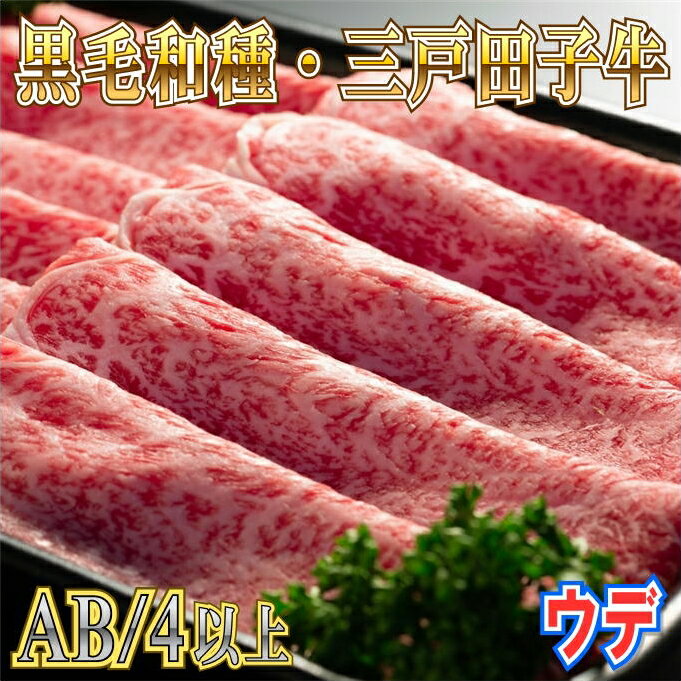 【ふるさと納税】 黒毛和牛 ウデ スライス 380g | 高級 A4 A5 B4 B5 希少 希少部位 霜降り サシ 牛 肉 牛肉 お肉 和牛 国産 三戸田子牛 田子牛 送料無料 ふるさと納税 ふるさと