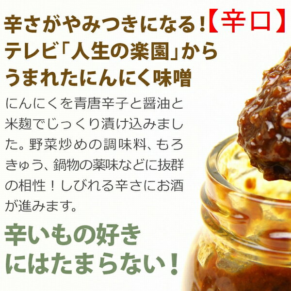 【ふるさと納税】にんにく味噌・辛口3個セット【青森県産にんにく100%使用】