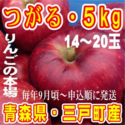 【ふるさと納税】青森りんご つがる 14～20玉 約5kg【2024年産 先行予約 | 9月上旬〜9月下旬頃に順次発送予定】りんご 林檎 フルーツ 果物 果実 青森 青森県 青森県産 三戸 三戸町 高級 贈答 ギフト プレゼント 産地直送 農家直送 ふるさと 送料無料