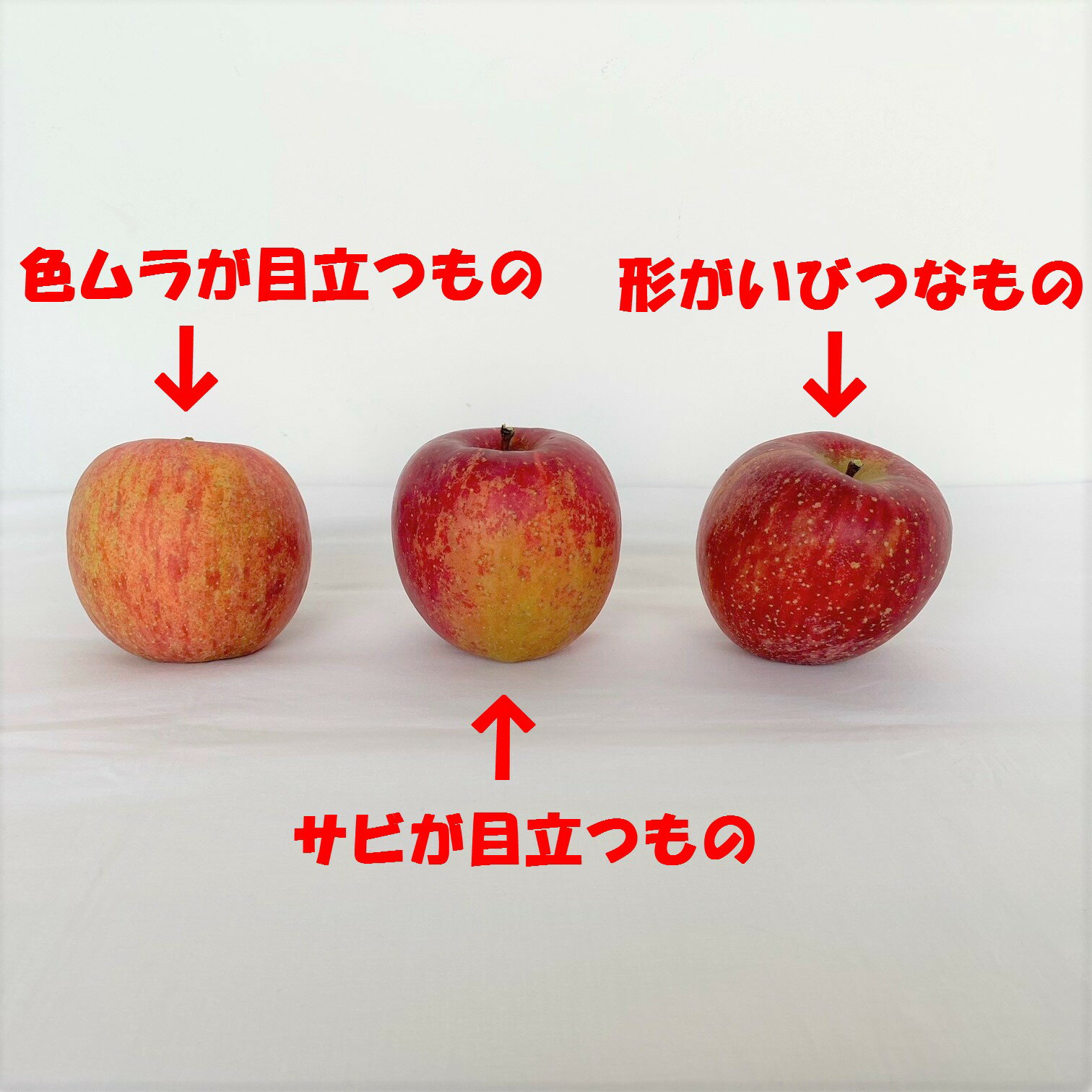 【ふるさと納税】青森りんご 訳あり サンふじ 28～40玉 約10kg【2024年産 先行予約 | 2025年1月中旬頃から順次発送予定】青森県産 リンゴ 三戸町 林檎 フルーツ 果物 農家直送 産地直送 わけあり 家庭用 不揃い 傷あり ふるさと納税 ふるさと